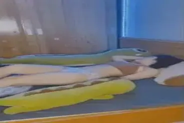 Momen Kencan Kasmaran Di Kamar Tidur